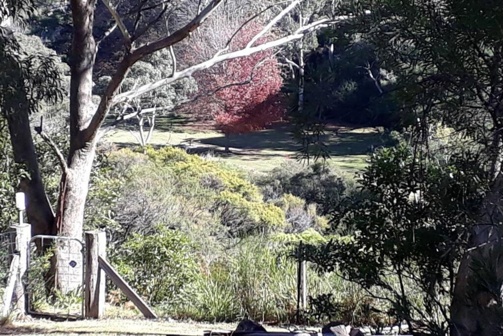 Katoomba Falls Cottage المظهر الخارجي الصورة